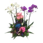 arreglo floral mata orquideas rosas hortensias