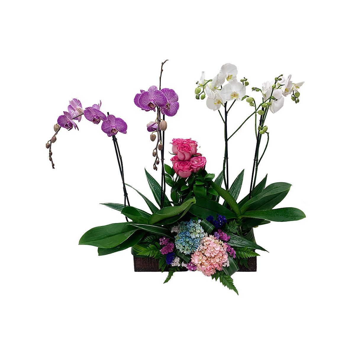 arreglo floral orquideas magicas