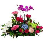 arreglo floral surtido orquideas