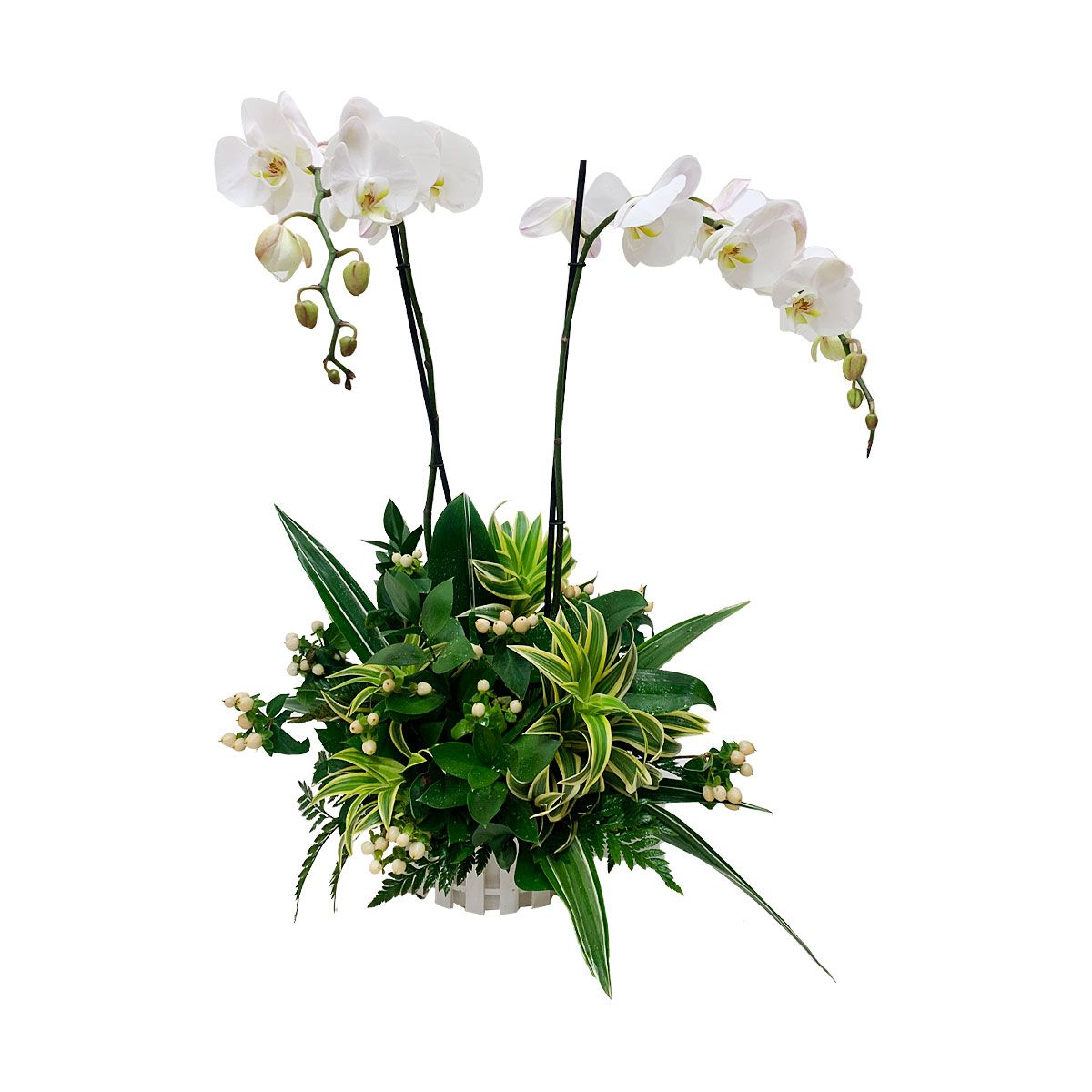 arreglo floral destello de orquideas