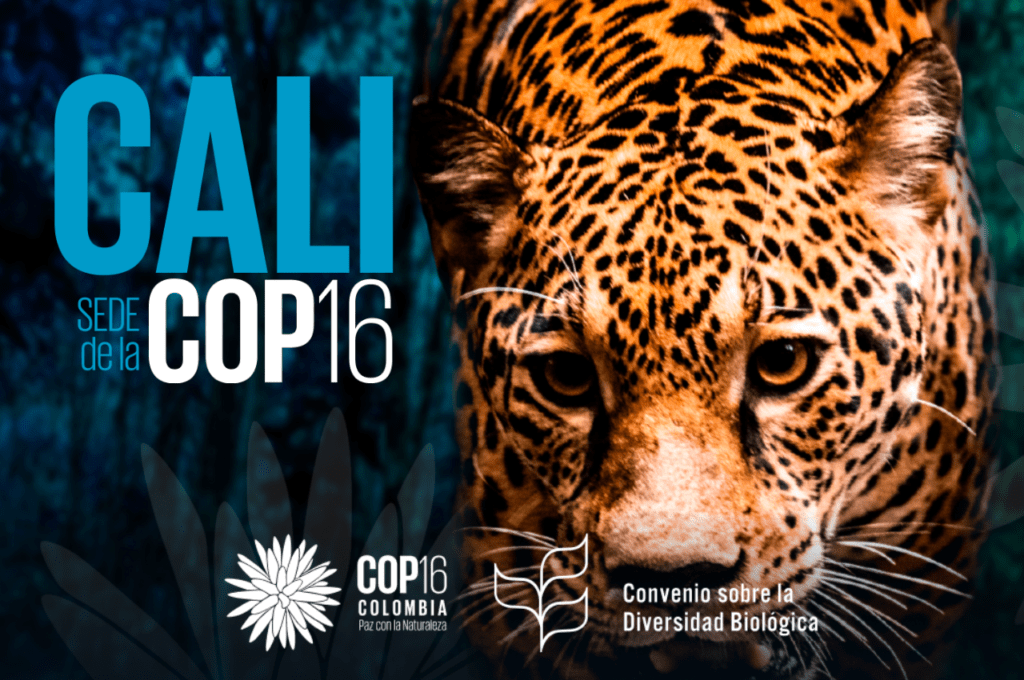 cop16