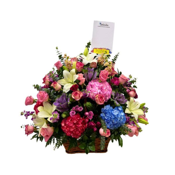 Imagenes productos 1