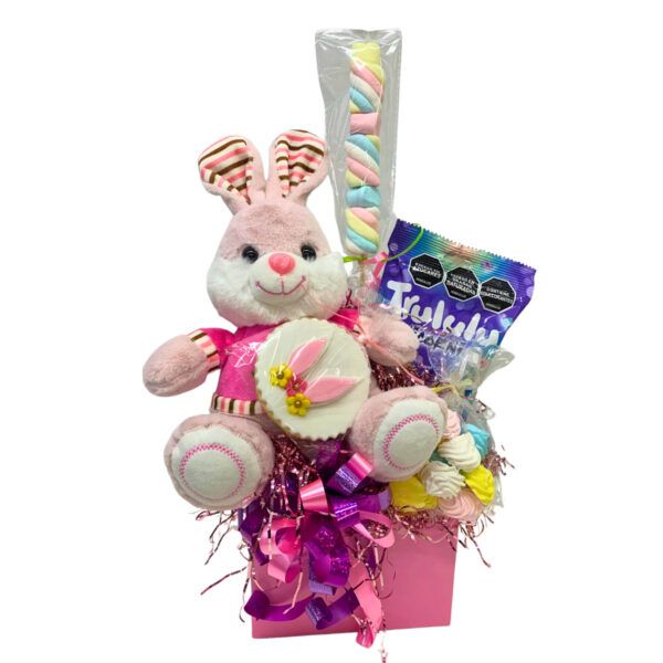 ancheta easter conejo rosa