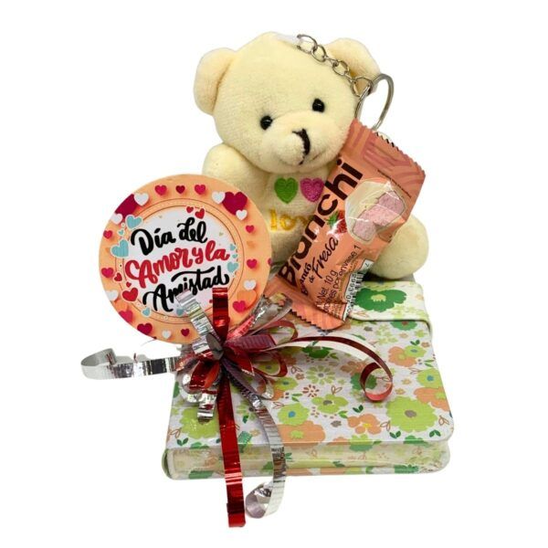detalle libreta peluche mini aya
