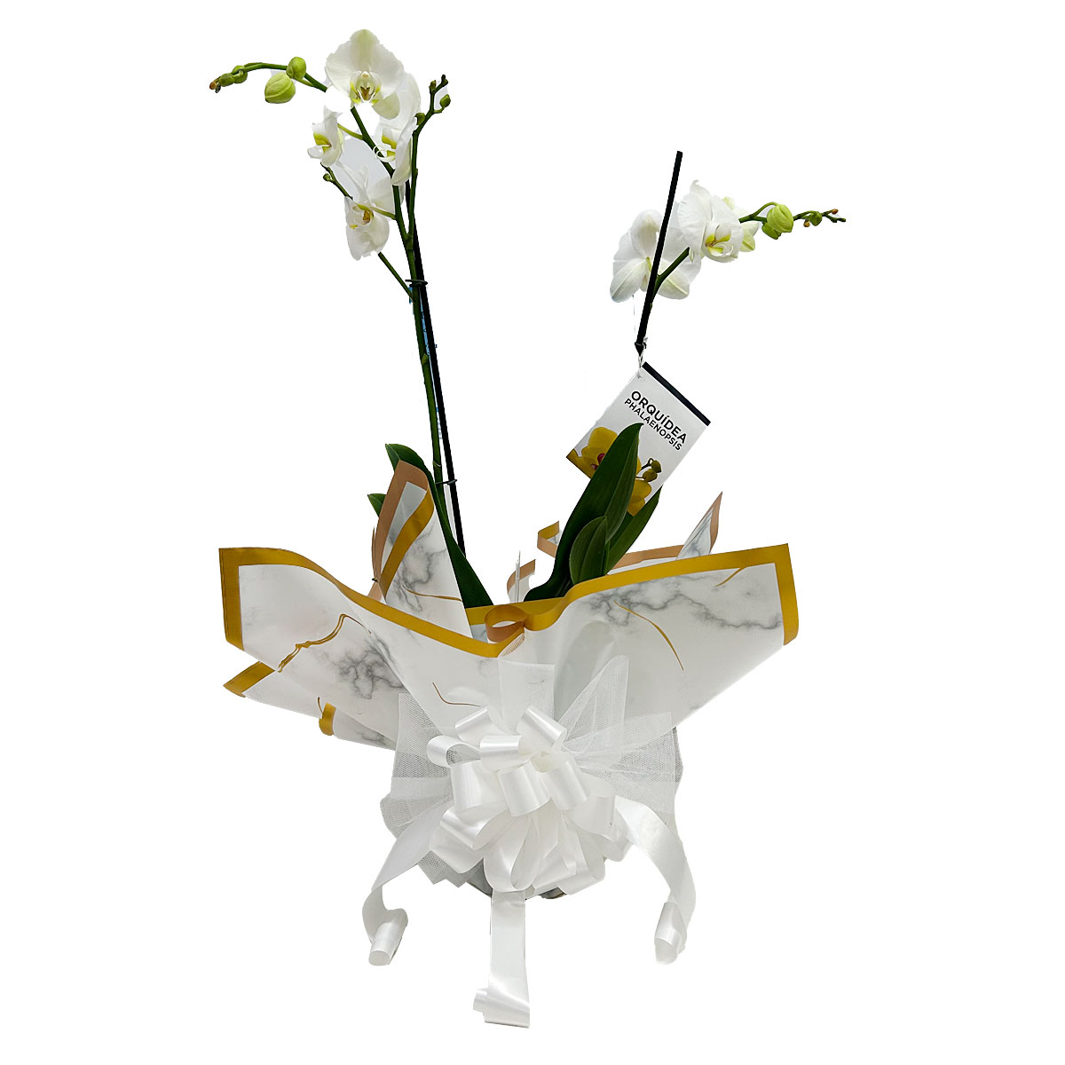 arreglo floral orquidea papel