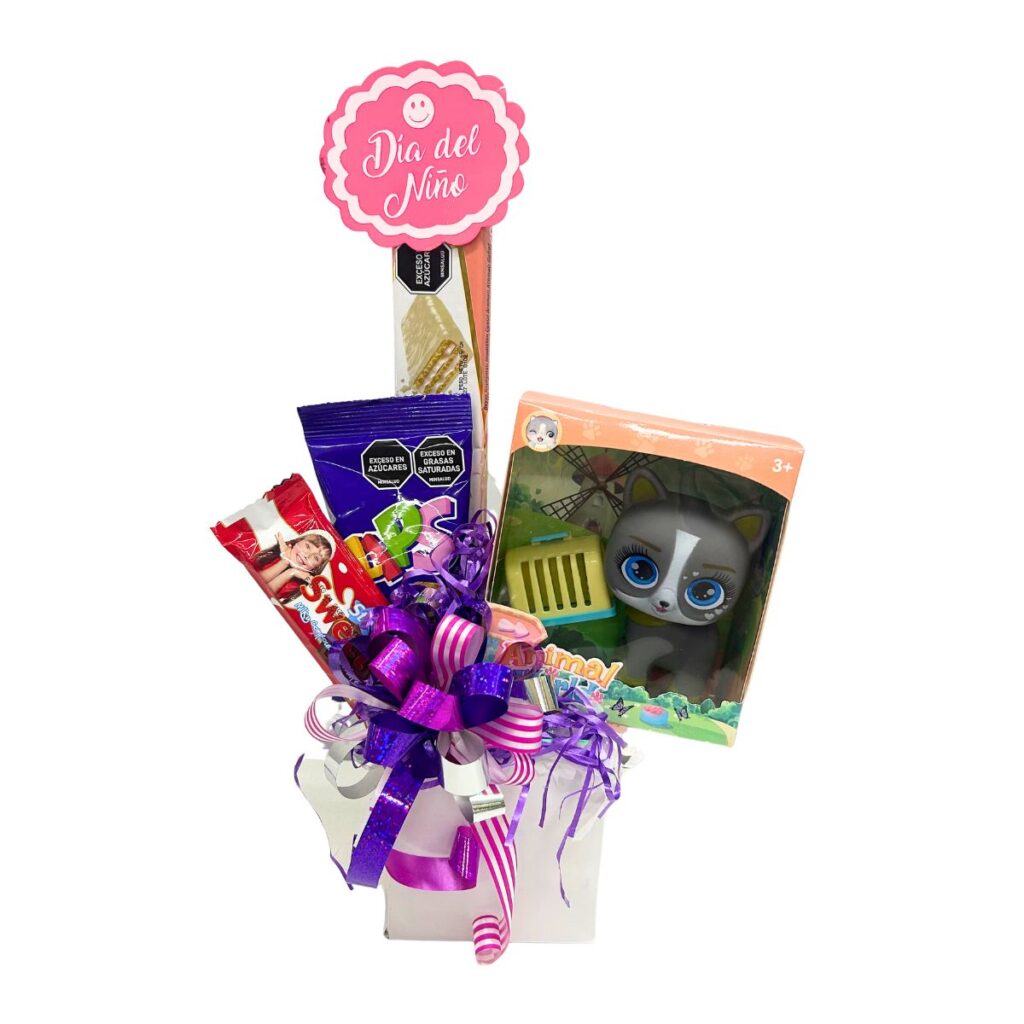 ancheta gatico niño 2026