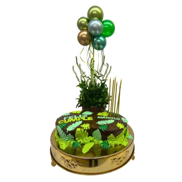 torta sin pasti globos hojas